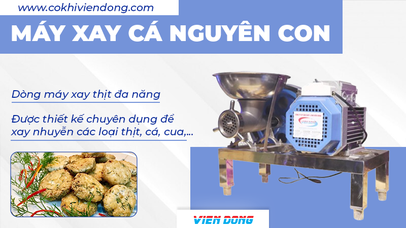 máy xay cá nguyên con