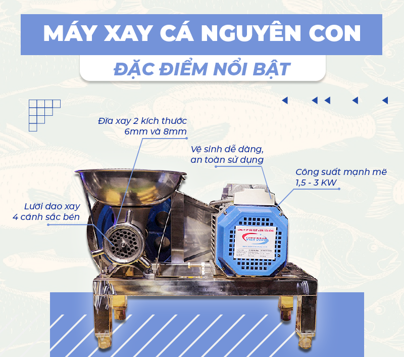 máy xay cá nguyên con