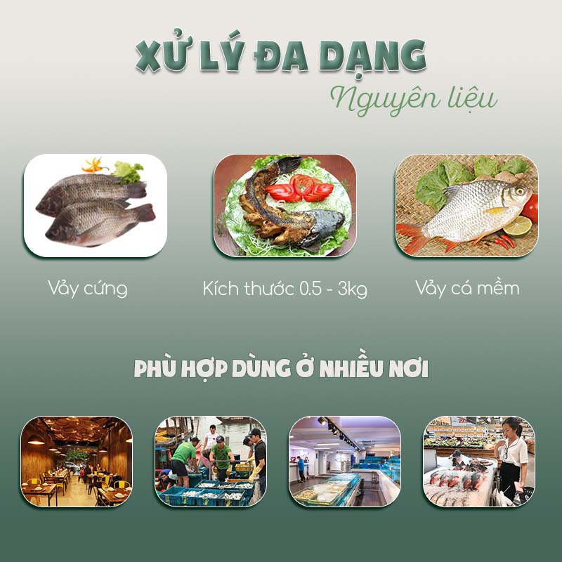 máy đánh vảy cá cầm tay