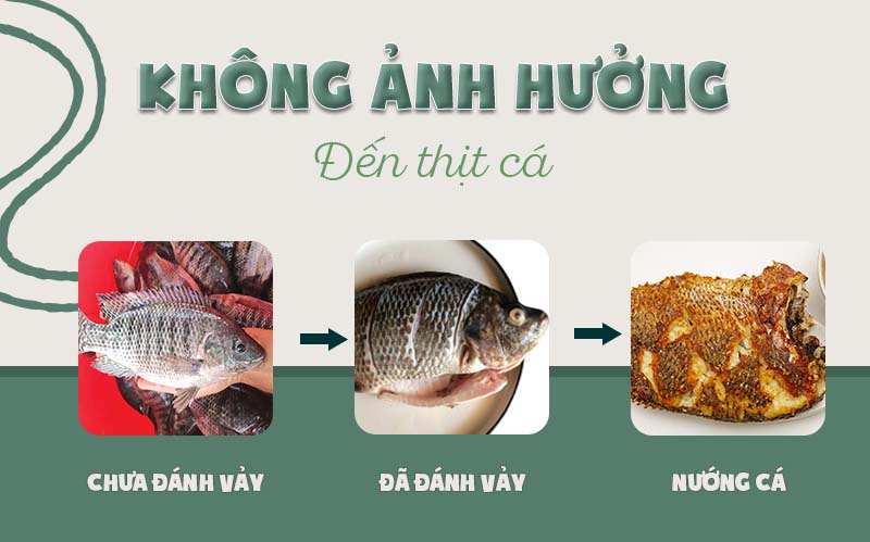 máy đánh vảy cá cầm tay